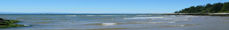 discovery_retreat_final_3006027.gif